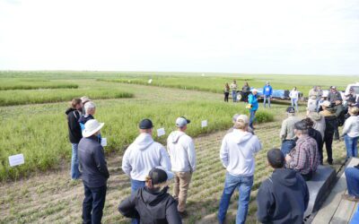 Wheatland Conservation Area Annual Field Day 2026